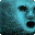 Battle Cry